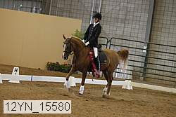 12yn_15580 thumbnail