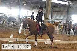 12yn_15582 thumbnail