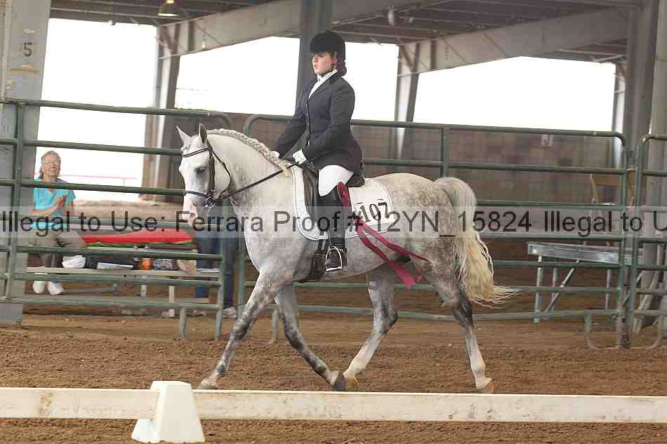 Proof Number 12yn_15824