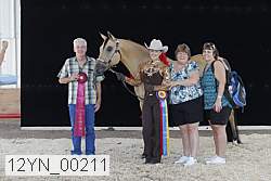 12yn_00211 thumbnail