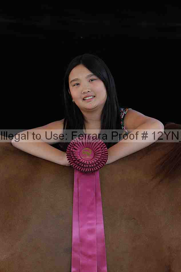 Proof Number 12yn_21003