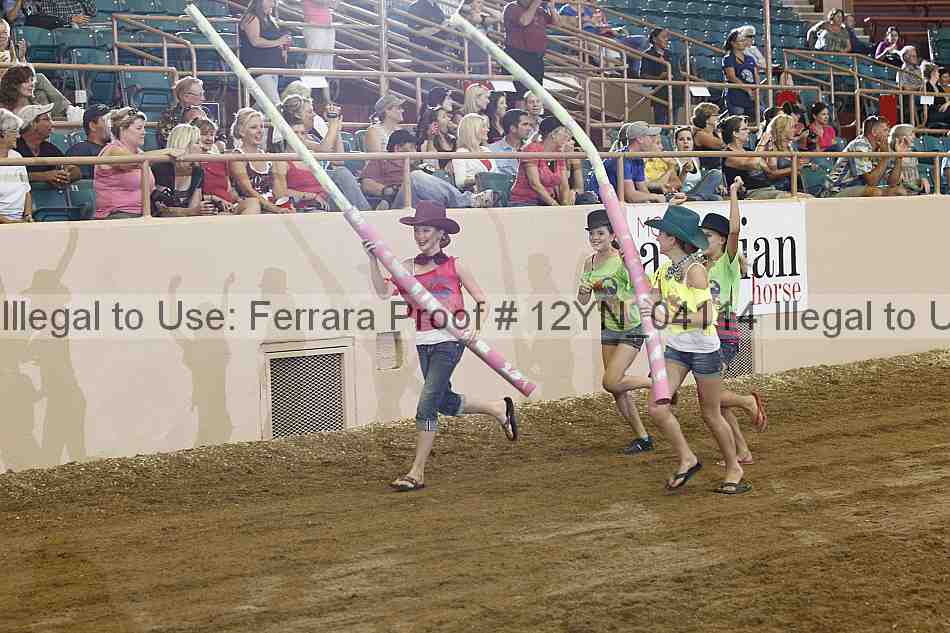 Proof Number 12yn_04114