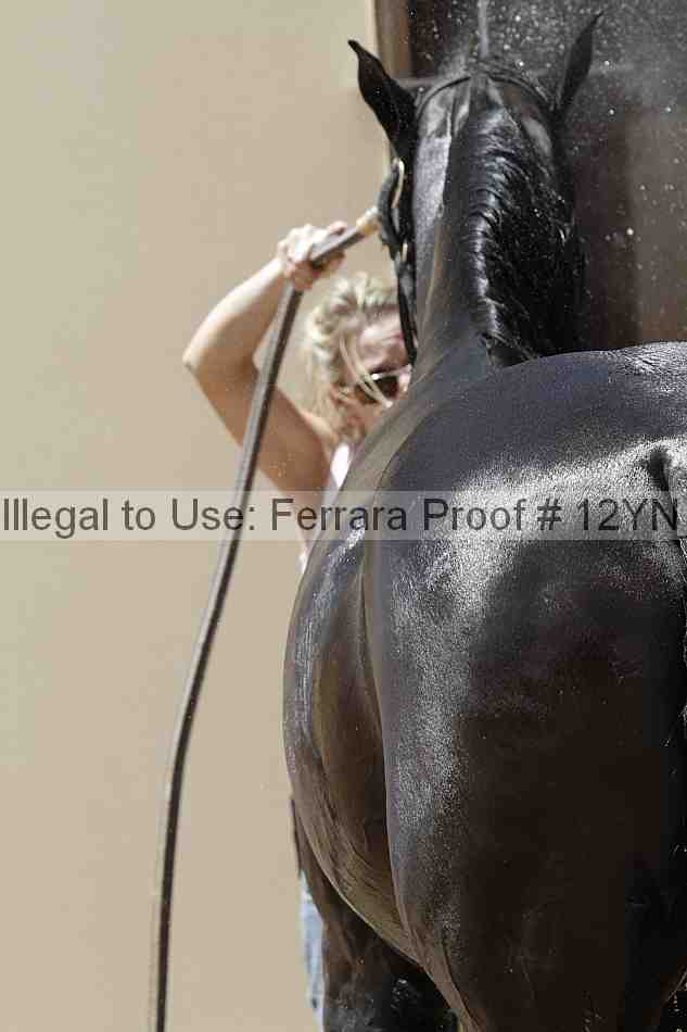 Proof Number 12yn_10091