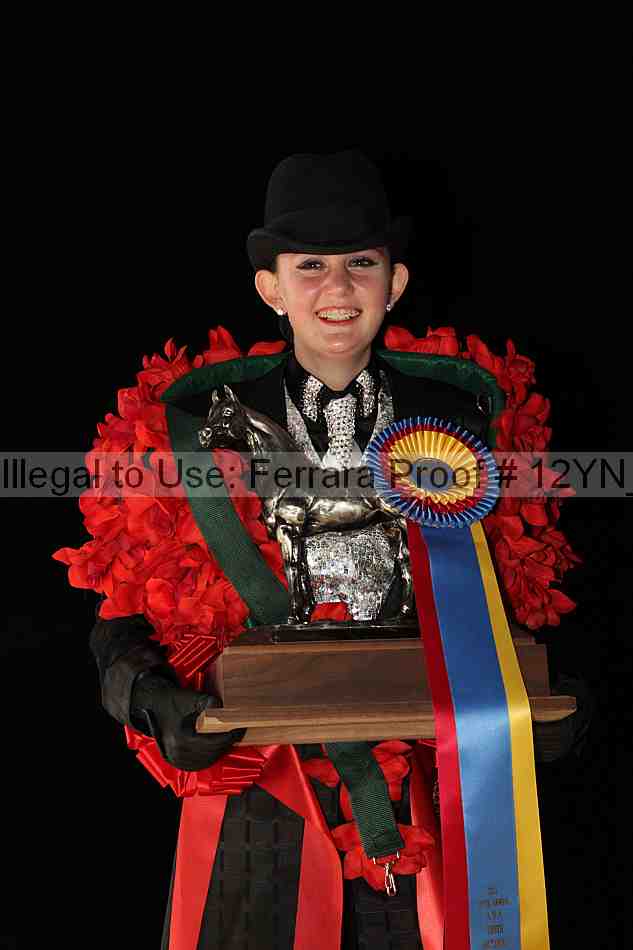 Proof Number 12yn_08401