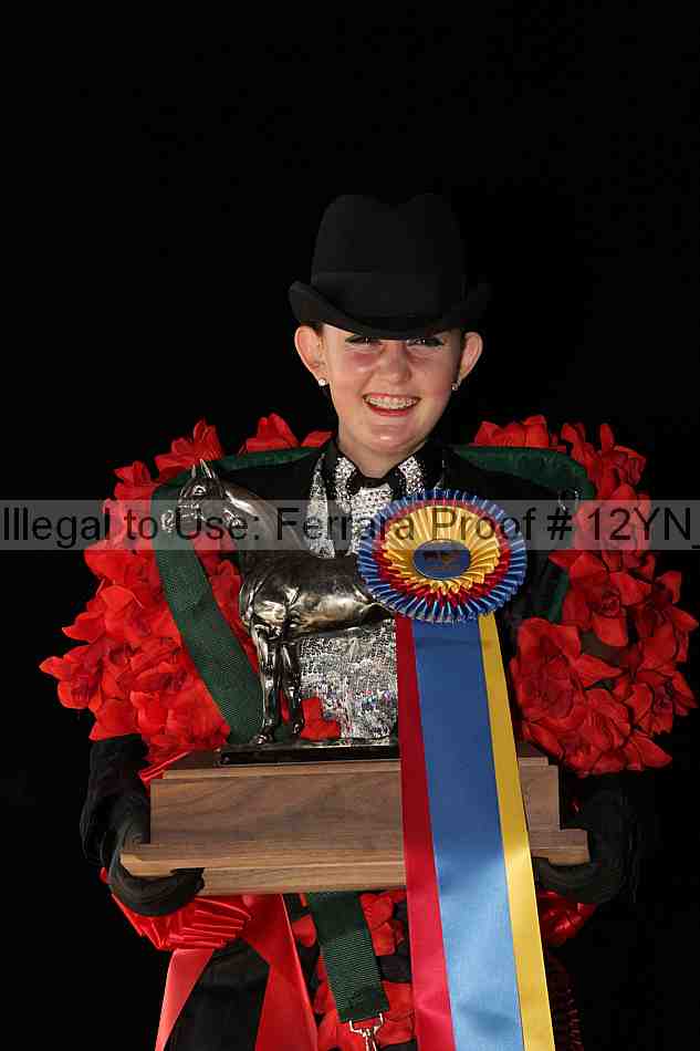 Proof Number 12yn_08403