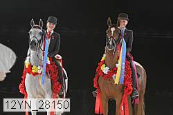 12yn_28150 thumbnail