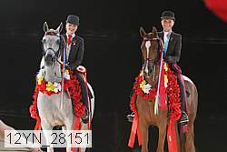 12yn_28151 thumbnail