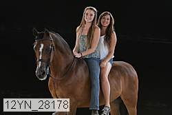 12yn_28178 thumbnail