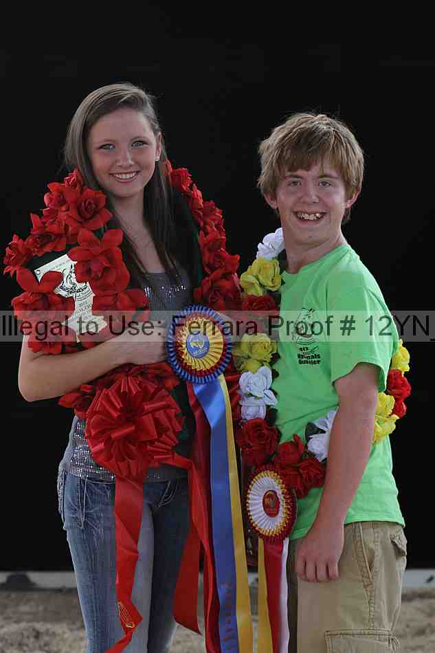 Proof Number 12yn_28517