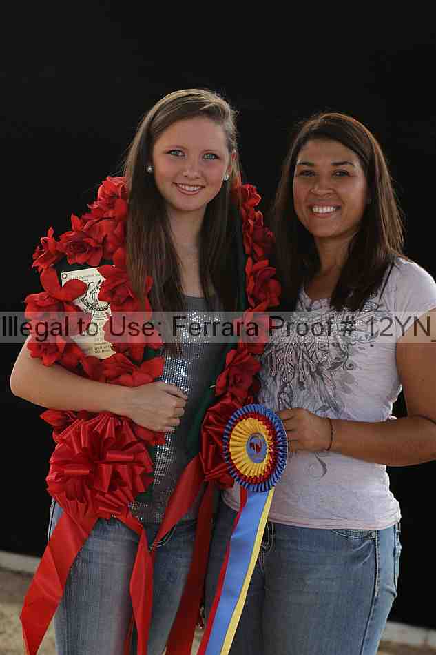 Proof Number 12yn_28521