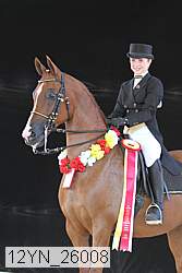 12yn_26008 thumbnail