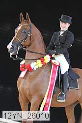 12yn_26010 thumbnail