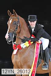 12yn_26012 thumbnail