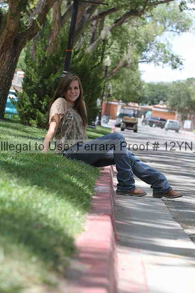 Proof Number 12yn_26607