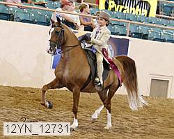 12yn_12731 thumbnail