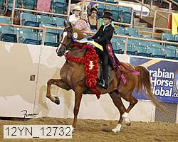 12yn_12732 thumbnail