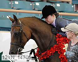 12yn_14705 thumbnail