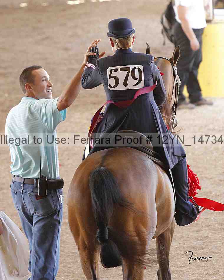 Proof Number 12yn_14734