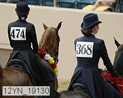 12yn_19130 thumbnail