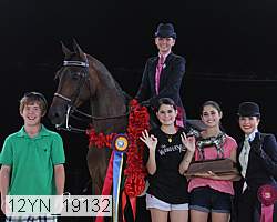 12yn_19132 thumbnail