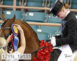 12yn_19133 thumbnail