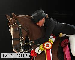 12yn_19135 thumbnail