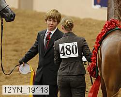 12yn_19148 thumbnail