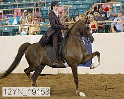 12yn_19153 thumbnail
