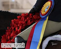 12yn_19154 thumbnail