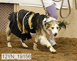 12yn_19156 thumbnail