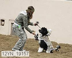 12yn_19157 thumbnail