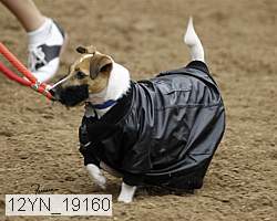 12yn_19160 thumbnail
