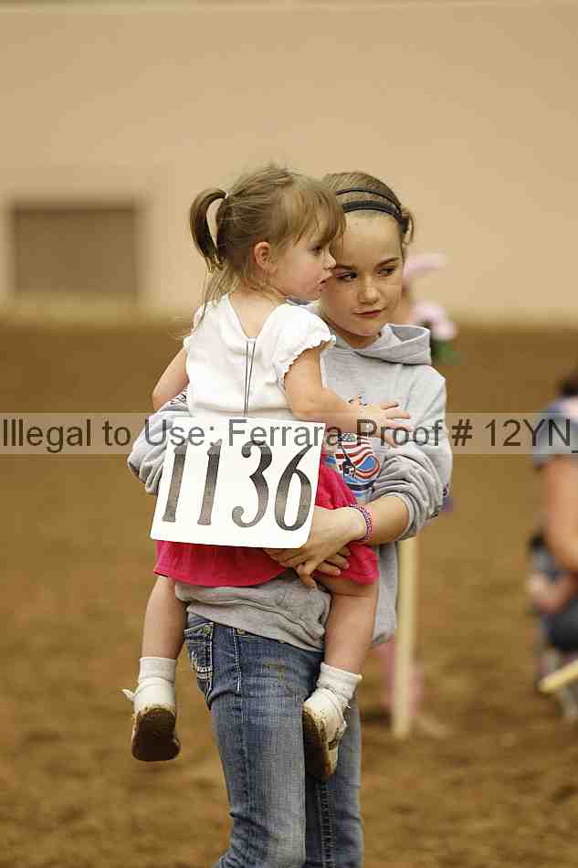 Proof Number 12yn_07890