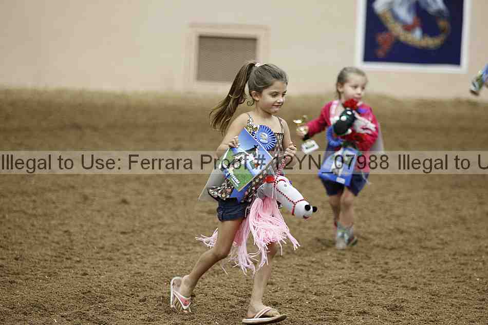 Proof Number 12yn_07988