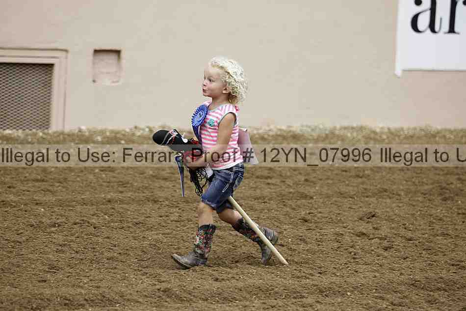 Proof Number 12yn_07996