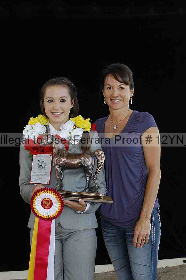 Proof Number 12yn_01408