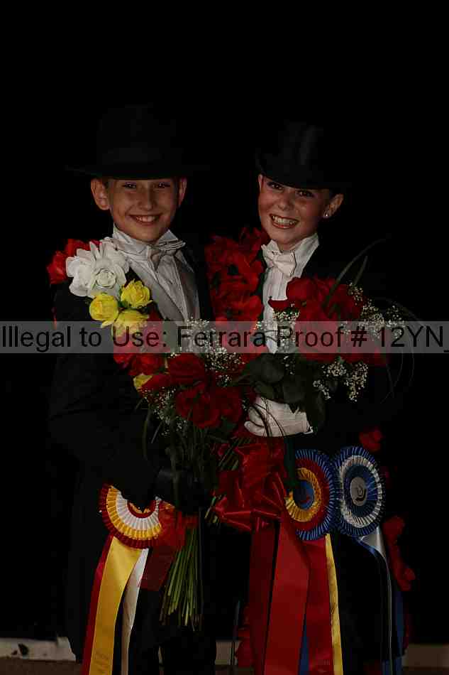 Proof Number 12yn_04378