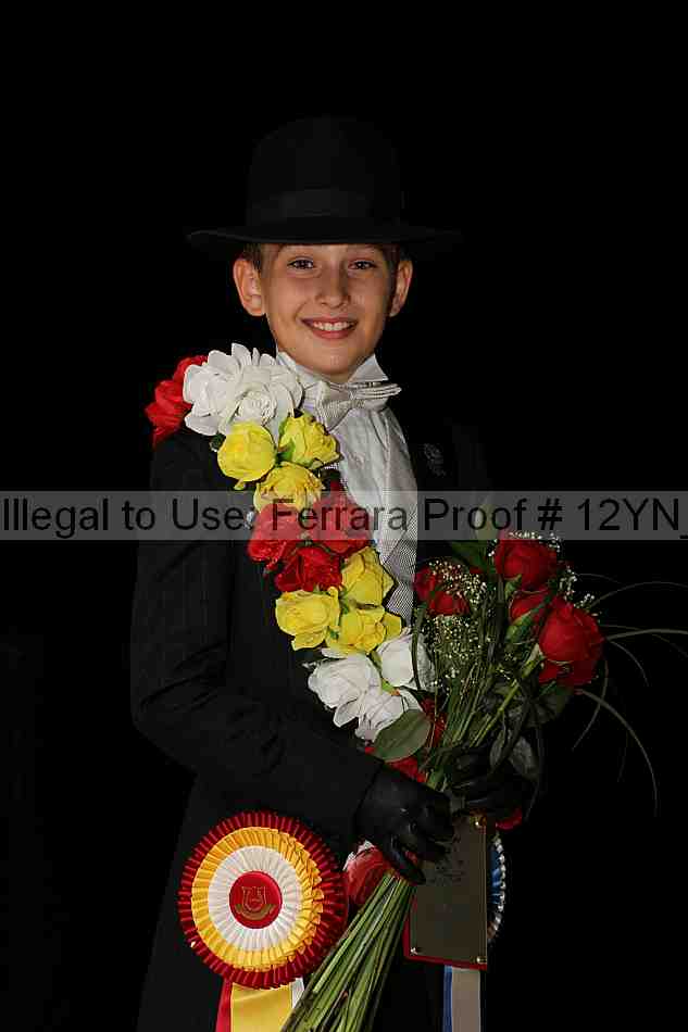 Proof Number 12yn_04380
