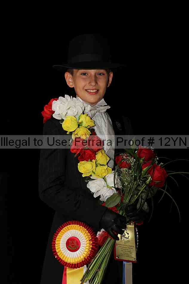 Proof Number 12yn_04381