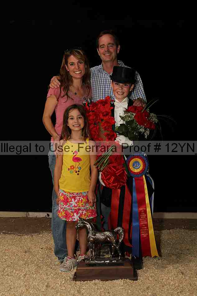 Proof Number 12yn_04387