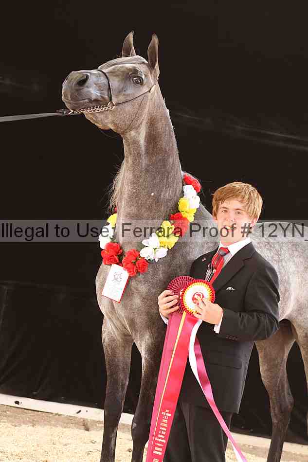 Proof Number 12yn_17700