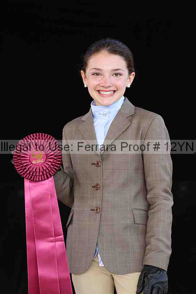 Proof Number 12yn_16314