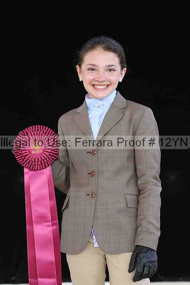 Proof Number 12yn_16316