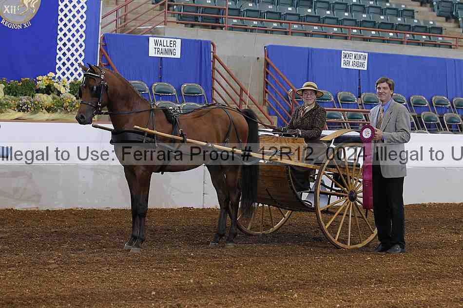 Proof Number 12r12_0024