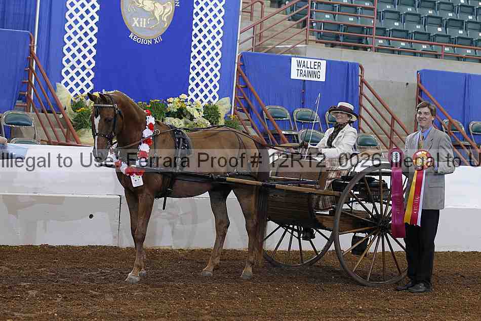 Proof Number 12r12_0026
