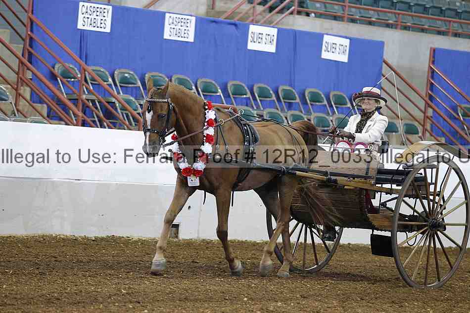 Proof Number 12r12_0033