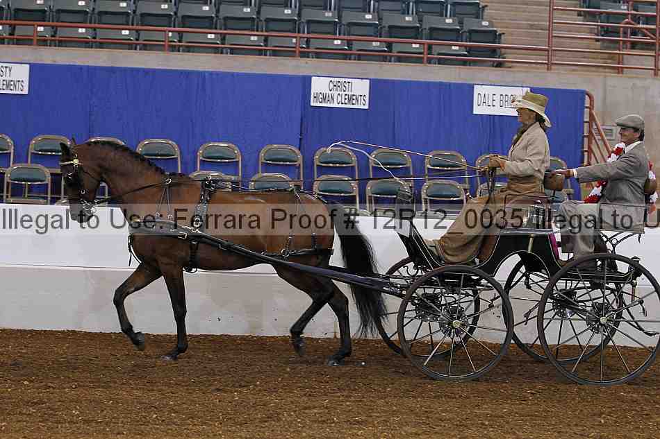 Proof Number 12r12_0035