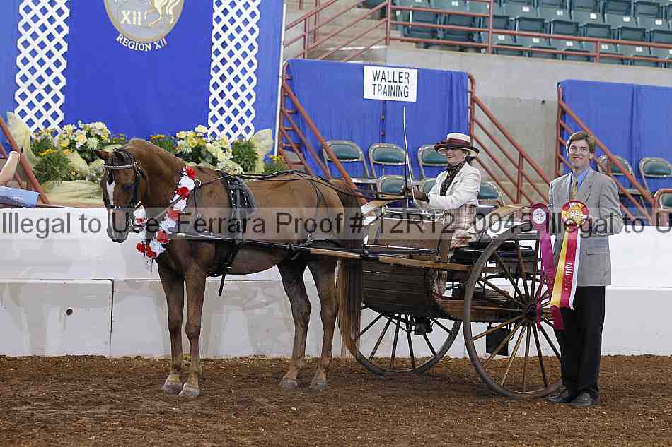 Proof Number 12r12_0045