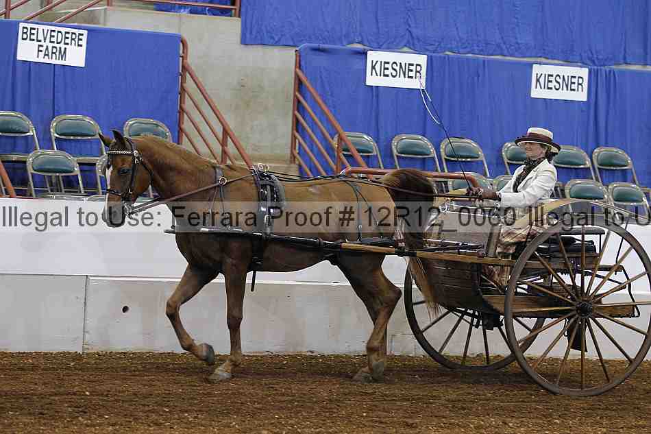 Proof Number 12r12_0060