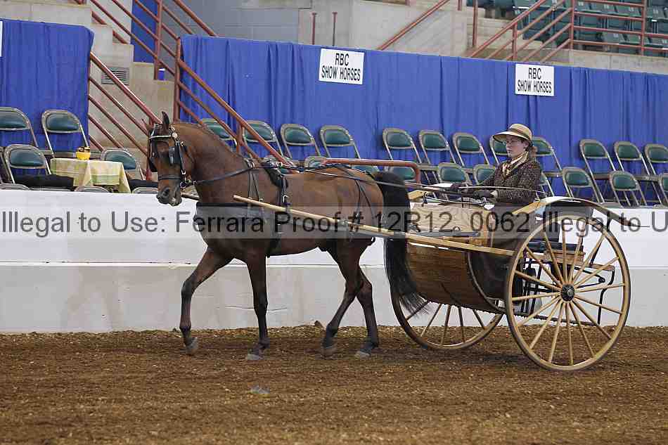 Proof Number 12r12_0062